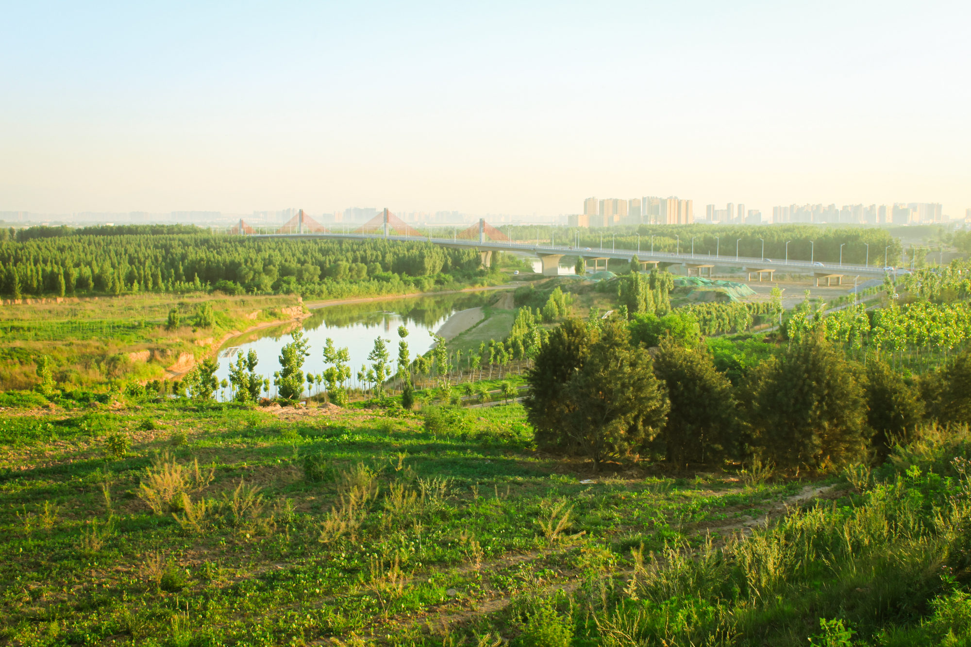 泾渭分明泾河为何清澈,泾河渭河泾渭分明是哪里