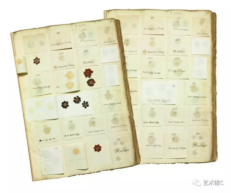 大英博物馆柜子,大英博物馆家具是什么