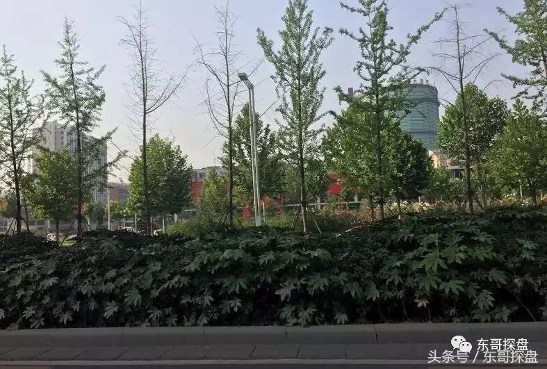 “郑州北三环黄金走廊”：能否托起郑州北部腾飞的红太阳？