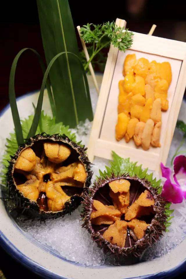 所有的美好都藏在不经意间,日式顶级活造刺身料理等你来寻味!