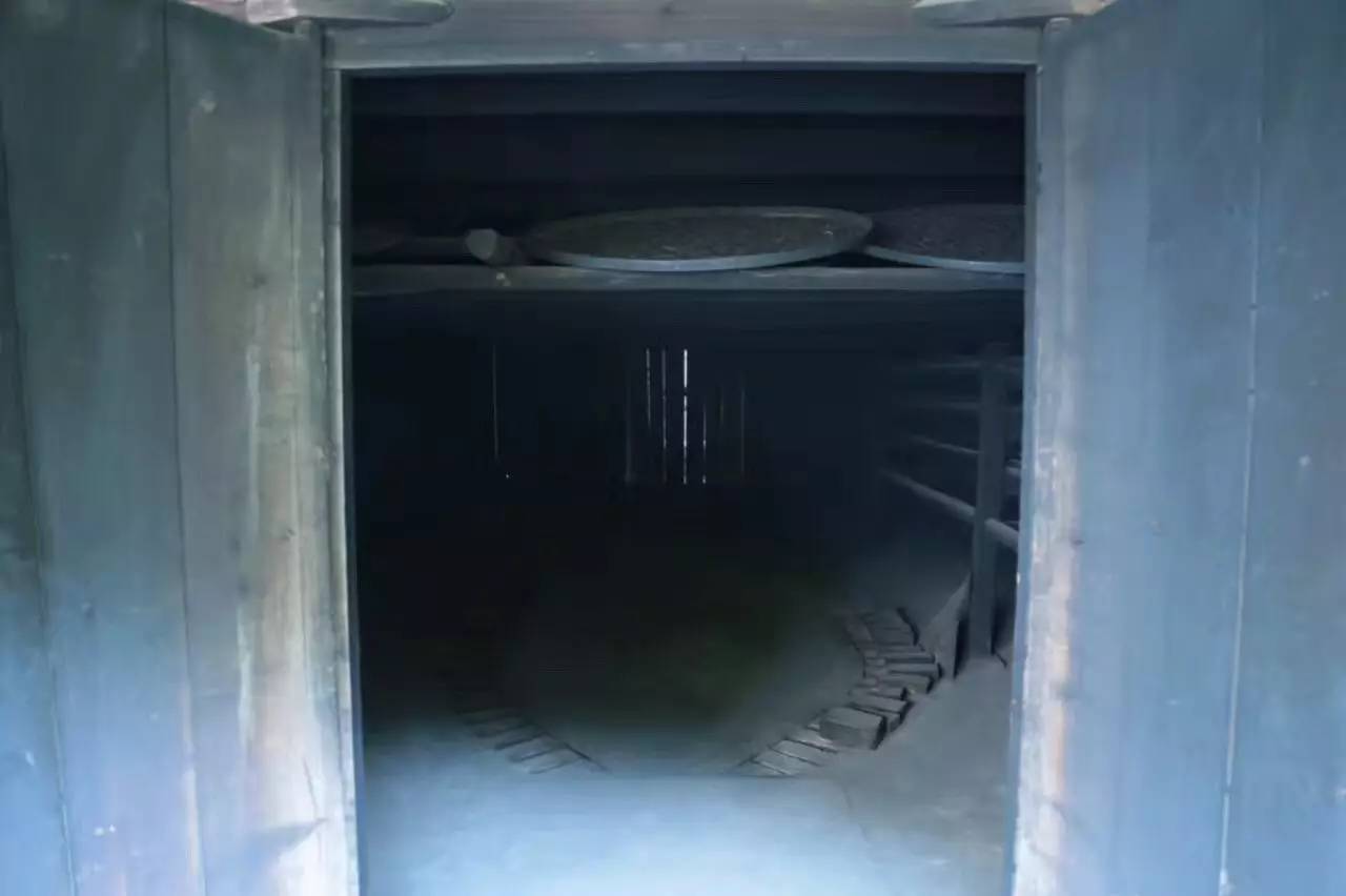 真正的金骏眉是什么样子的,金骏眉究竟什么样子的