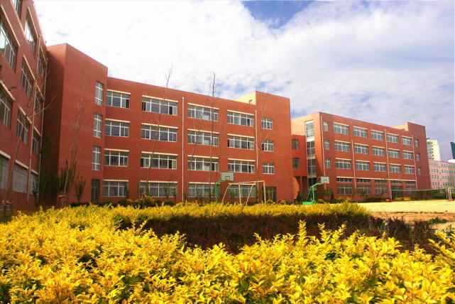 大连独立学院,大连市最好的三所民办中学