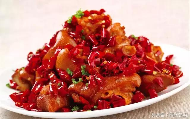 2021上海生日免费攻略,上海生日当天免费优惠2019年