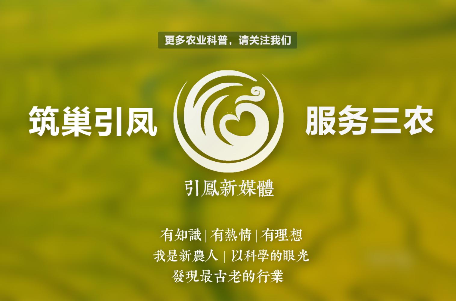 毕业的大学生现在干点什么好,大学生毕业怎么活着