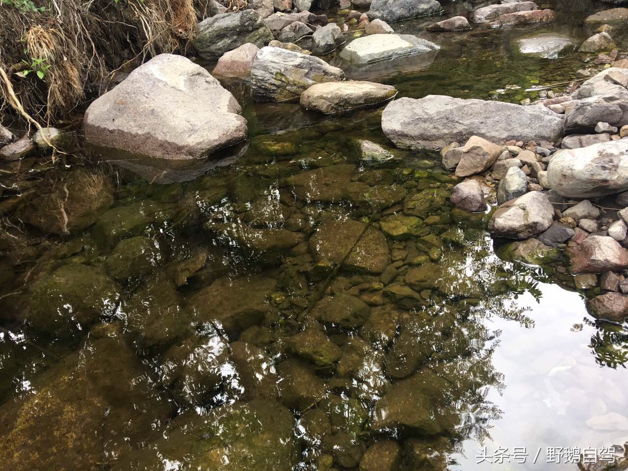 野鹅自驾：一个小泉眼，却养活了整个村子，冒出的气泡酷似珍珠！