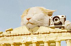 一场特别的阅读旅行,悦读悦心跟着诗词去旅行