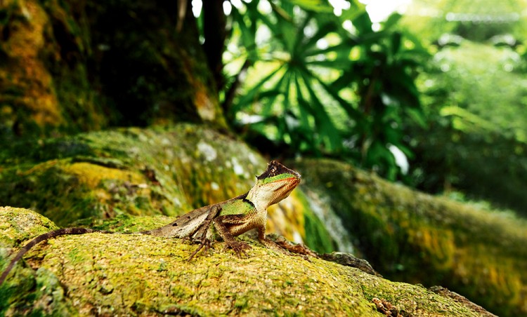 世界物种基因库在什么地方,探秘人类基因