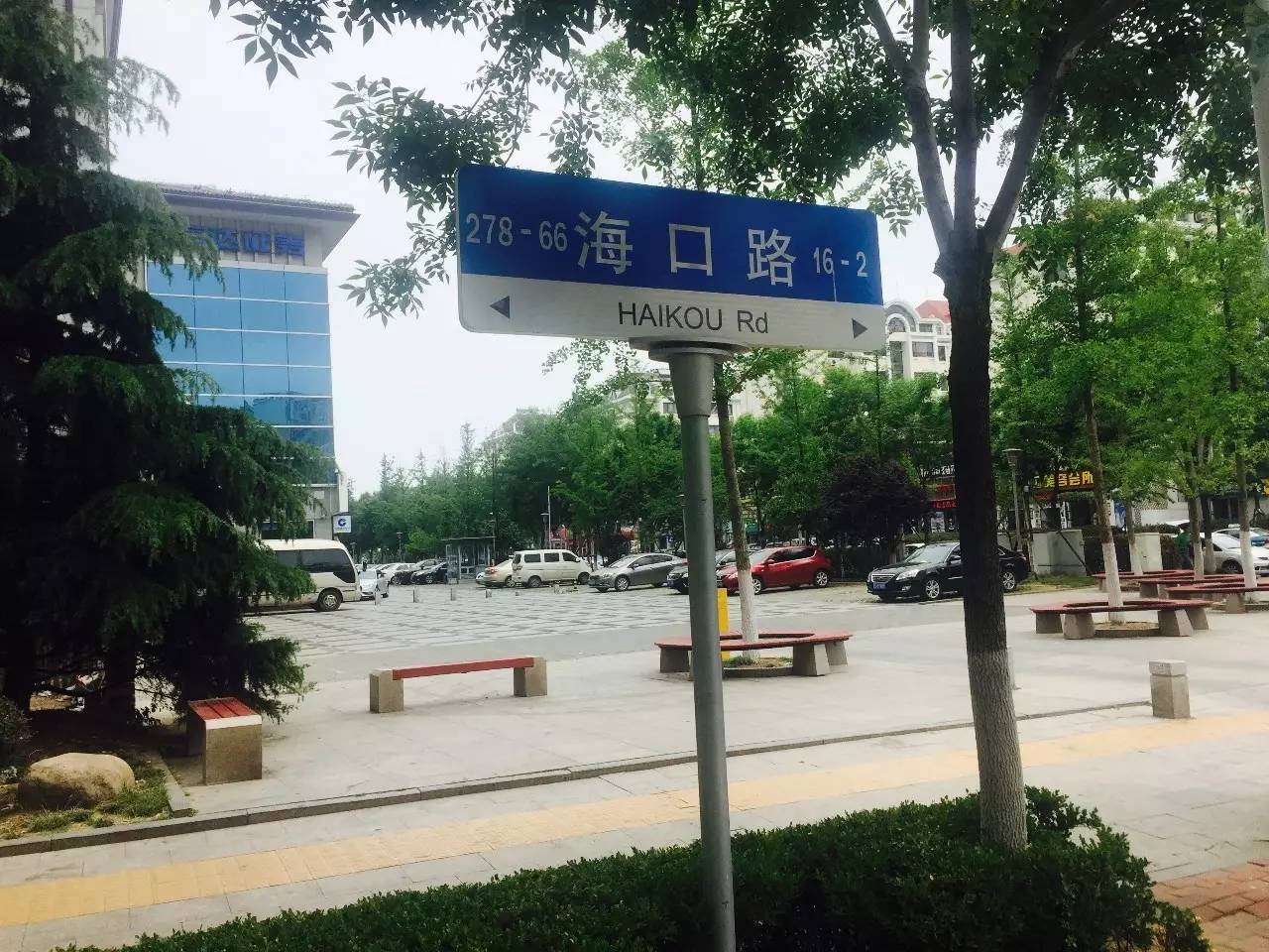 精彩搜街｜不到1000米的麦岛路北段竟然有35家大大小小的饭店！