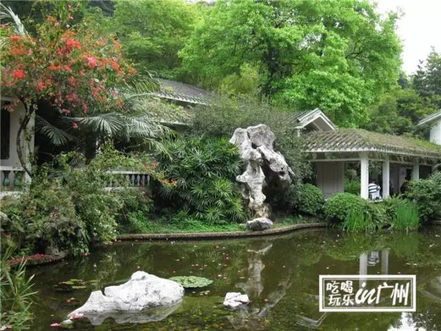 广州最新最美最好玩的景点,广州最值得去玩的景点推荐一下