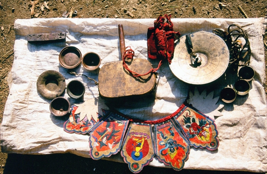 它被誉为地球上最让人恐惧的动物,传说中的蛊16种都有什么作用