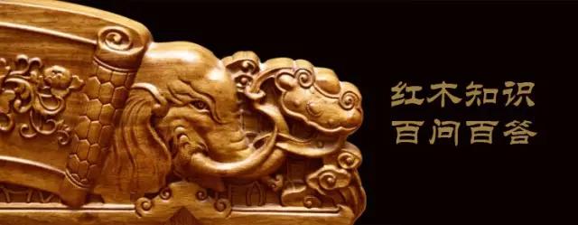 从入门到精通完整版书籍,从入门到精通完整版