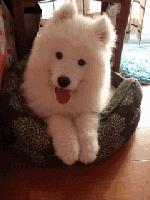 歪脖拯救世界,歪着脖子拯救地球图片