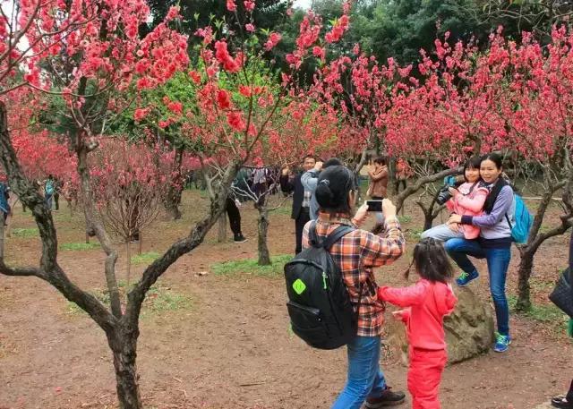 明珠楼白云山风景,白云山明珠楼