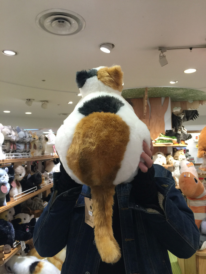 日本的冬天依旧色彩绚烂,冬季日本的冰雪阳光