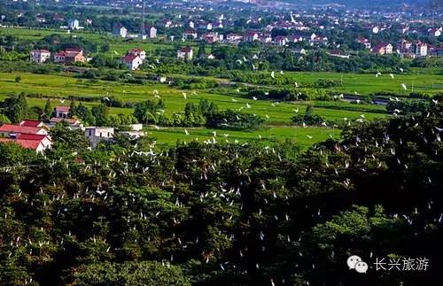 长兴一不小心,湖州长兴成了“中国最美休闲胜地”!