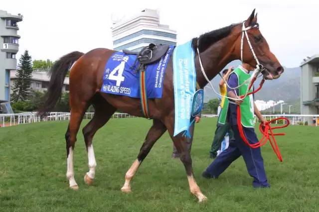 “将男”!上季“最佳长途马”正式退役