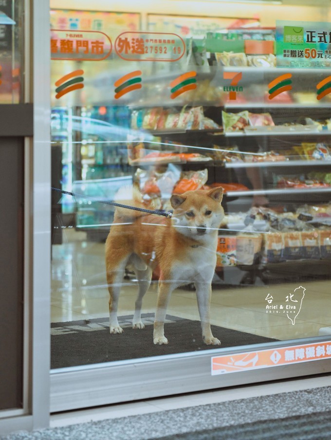 2017台北高雄垦丁花莲之旅,台北花莲垦丁自由行攻略