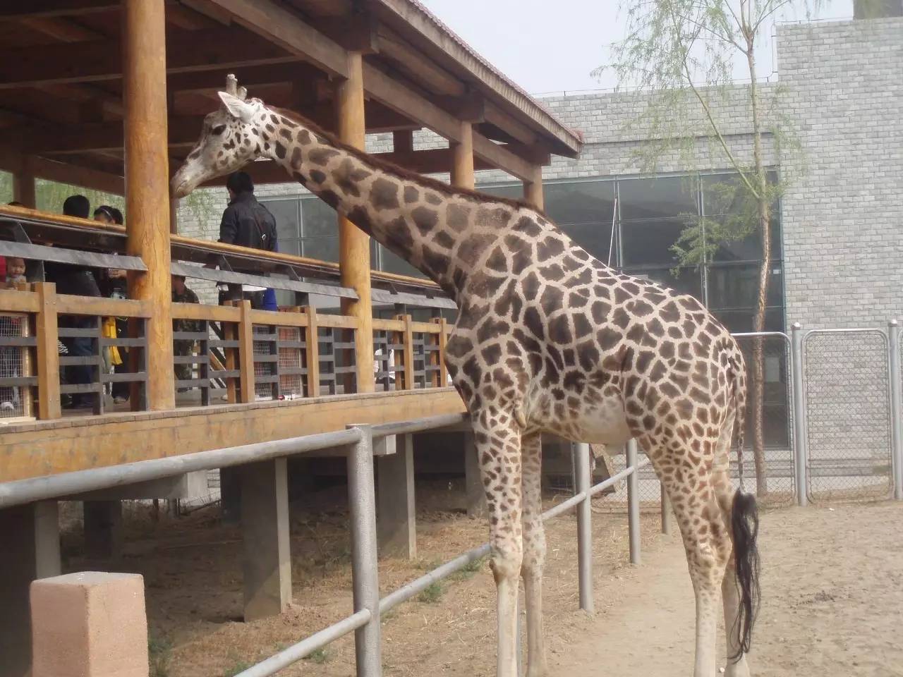 河北带孩子去最好玩的游乐场,河北最大的儿童室内游乐场