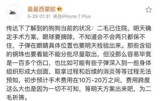 宠物狗能不能上飞机托运,飞机托运狗狗受伤