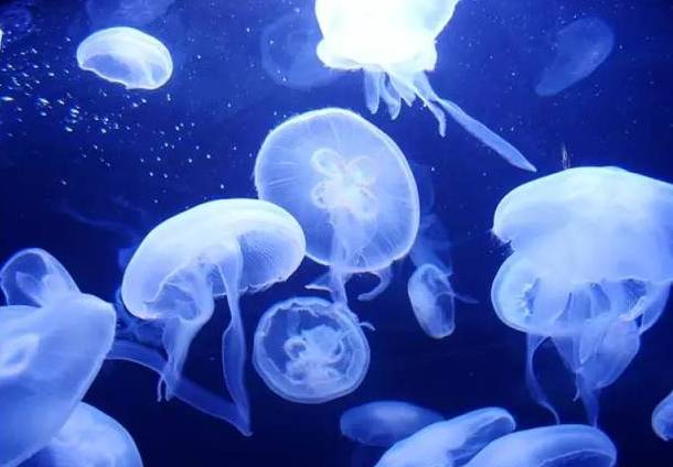 河北带孩子去最好玩的游乐场,河北最大的儿童室内游乐场