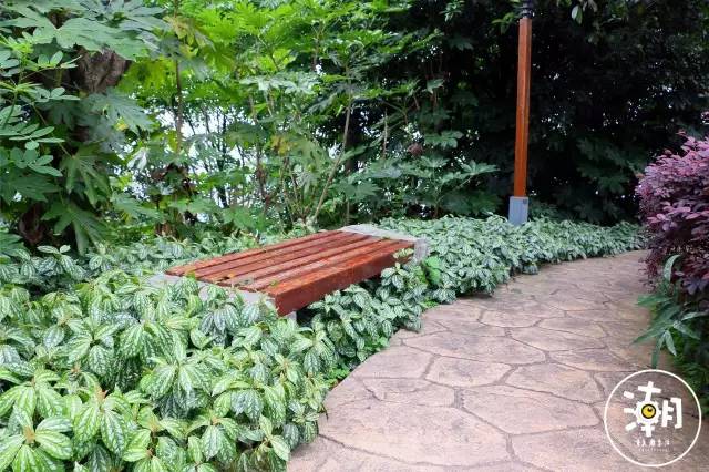 重庆桂花园景点,重庆桂花公园免费