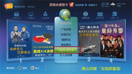 广东省青少年足球联赛总决赛u16,广东佛山市青少年u8足球比赛