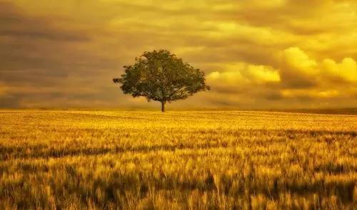 面朝大海春暖花开海子去哪了,海子生命绝唱面朝大海春暖花开