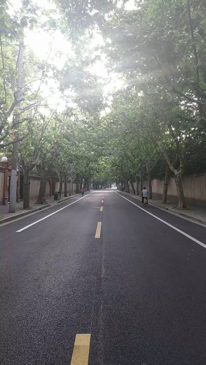 上海四条好看的马路,上海最美一条街