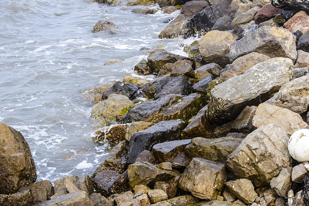 达人映像矶钓发烧友带你体验黑鲷天堂