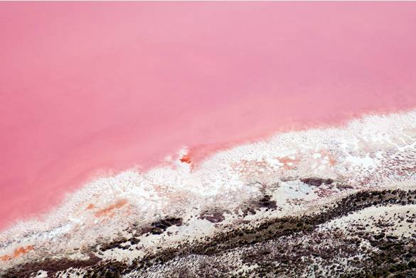 先定一个小目标活下来,先定一个小目标全集