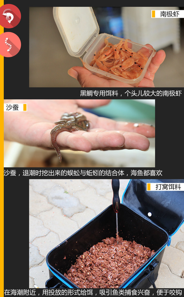 达人映像矶钓发烧友带你体验黑鲷天堂