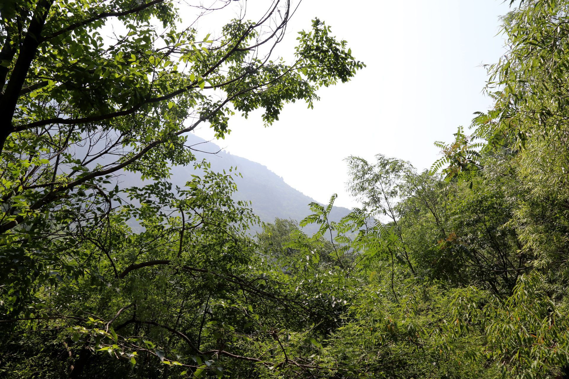 河北邢台云梦山风景,河北邢台云梦山简介