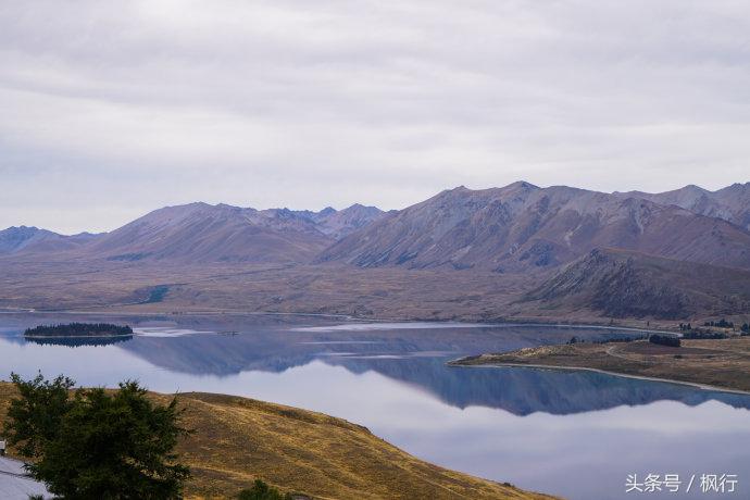 新西兰星空小镇最全攻略,新西兰tekapo旅游攻略