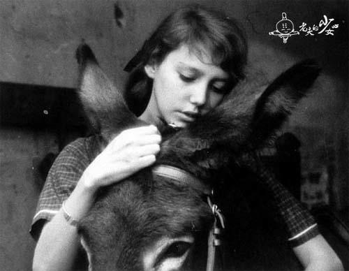 这些毁三观的影视剧你肯定也看过,细数10部颠覆你三观的电影