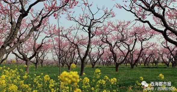 西宁至西安北d2736时刻表,西宁至西安动车恢复开行