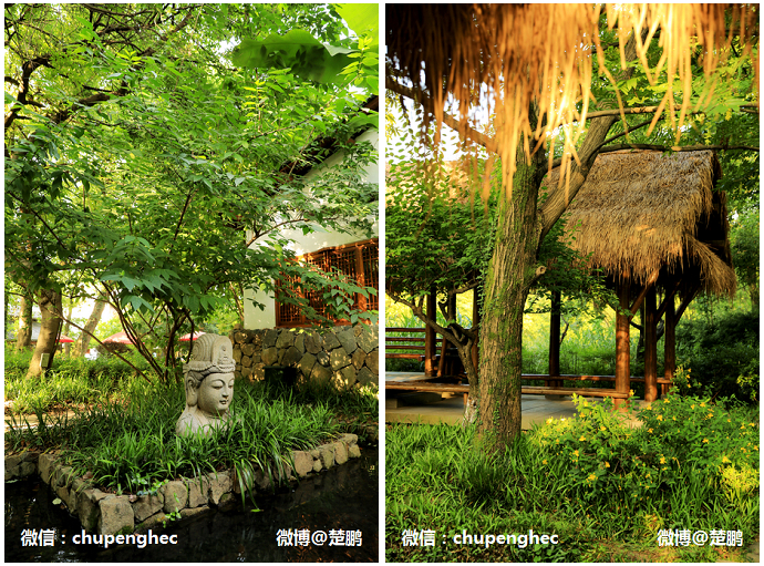 曾是马云江南会,只有9间房,中国最牛的野奢度假村什么样