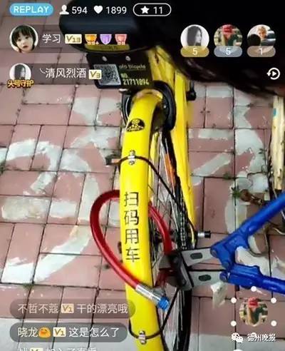 请你放过小黄车!一周时间,你们把它们虐成了什么样