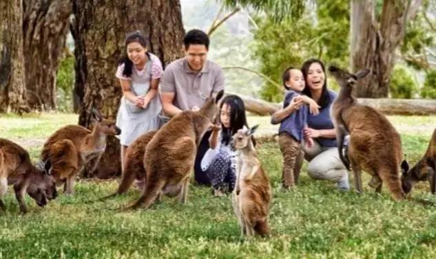 澳洲旅游推荐学生避暑,暑假澳大利亚黄金海岸