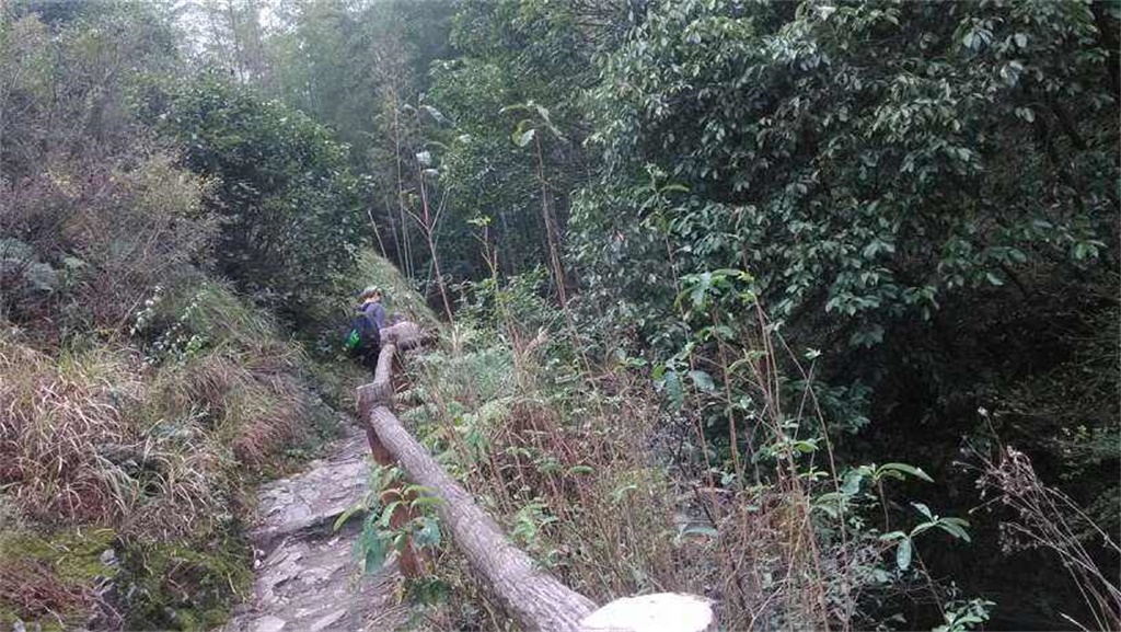 中国最牛的小镇,中国最牛小镇有多少人