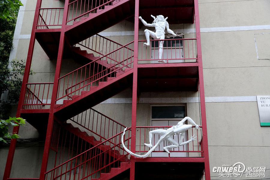 西安美院学生作品展,西安美院16届本科毕业生作品展