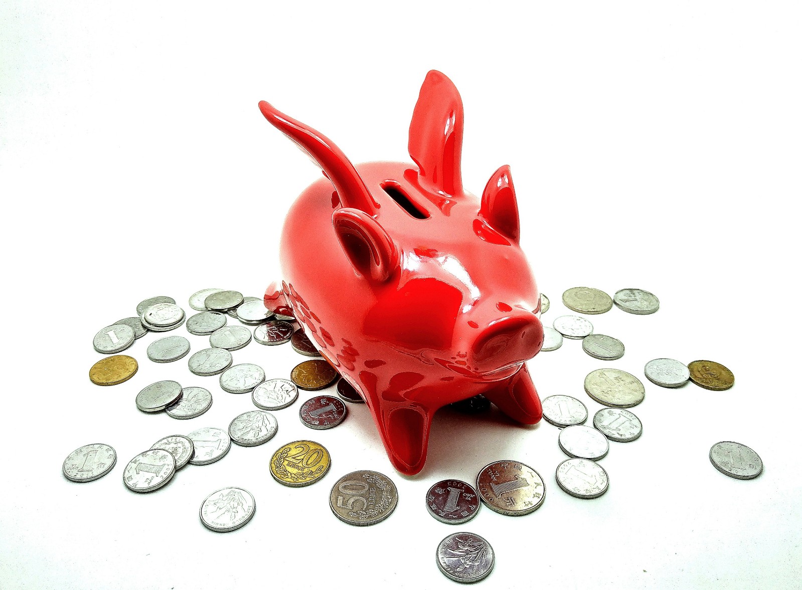 站在风口上猪都能飞电影,站在风口猪也可以飞起来