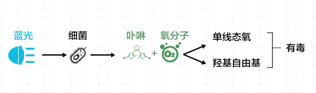 祛痘祛闭口粉刺黑头,如何有效的祛痘去黑头去闭口