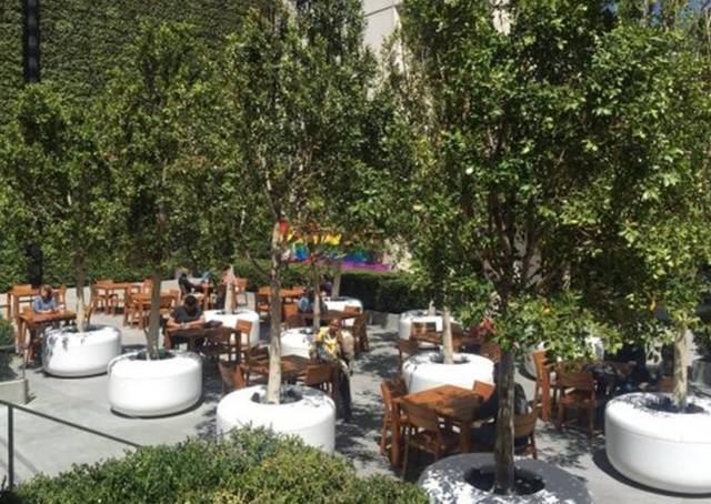 苹果运动鞋拍卖价格,苹果运动鞋跑步鞋价格