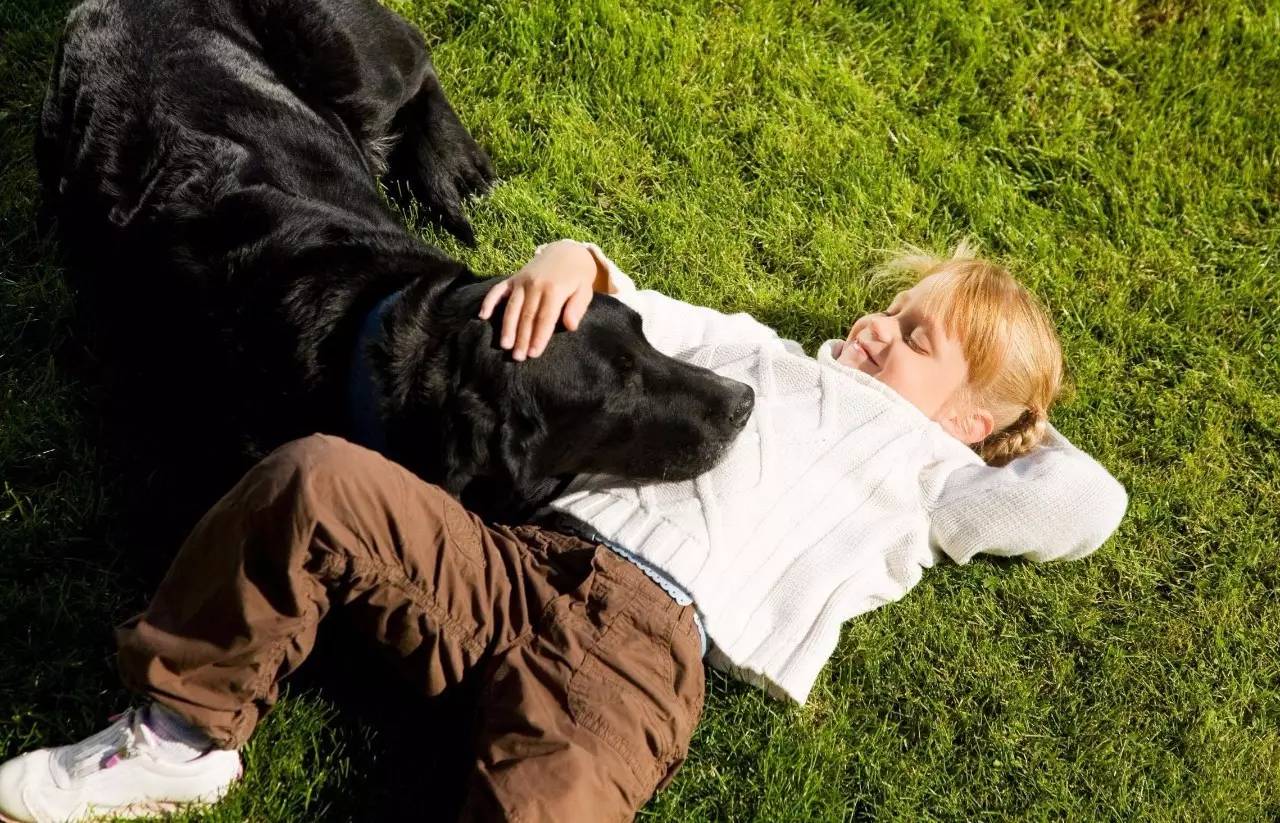 让孩子养宠物的好处,该不该给孩子养宠物