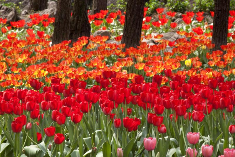 华帝事件最新消息,华帝股份重大事件