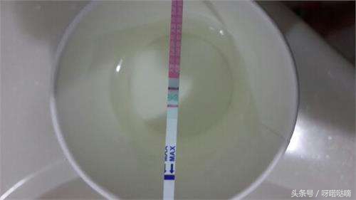 白带粘稠是已经排卵了吗,白带粘稠大概几天会排卵