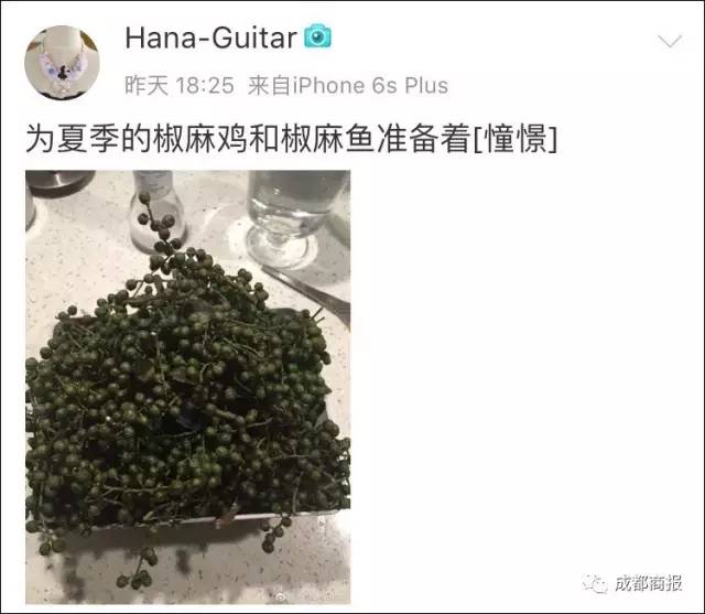 川味椒麻鸡征服日本!成都帅小伙网上卖辣鸡,人称“日本老干妈”