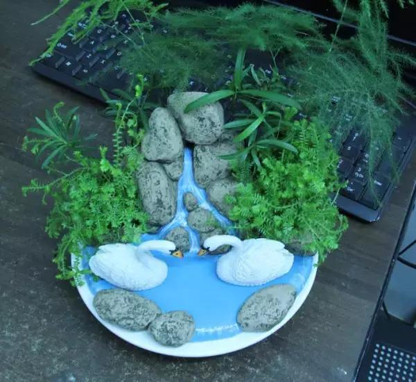 灭蚊药可以喷花卉么,灭蚊剂可以给花卉杀虫吗