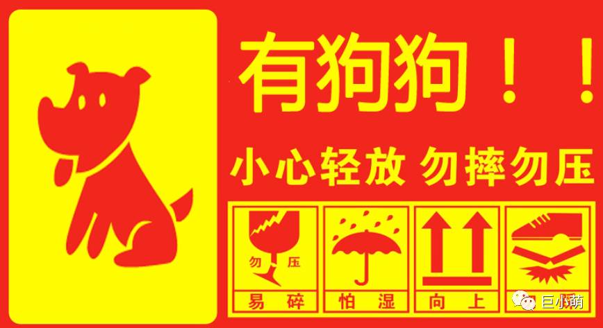 狗狗空运可以不跟机吗,狗狗托运哪个更安全