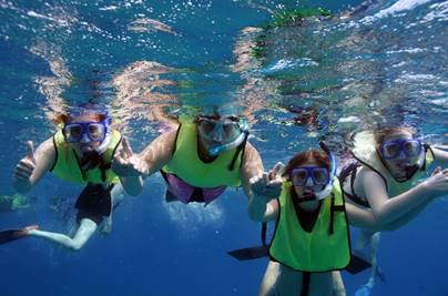 夏威夷深度游攻略,夏威夷恐龙湾浮潜视频